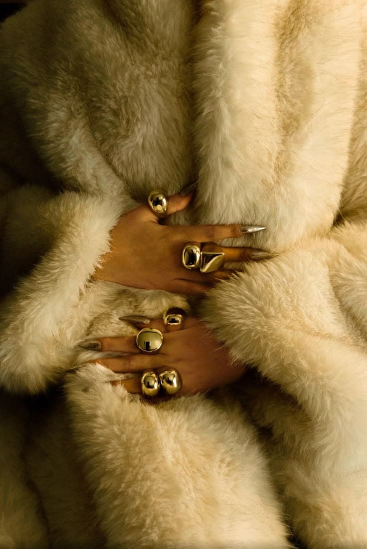 Rings resting in velvet